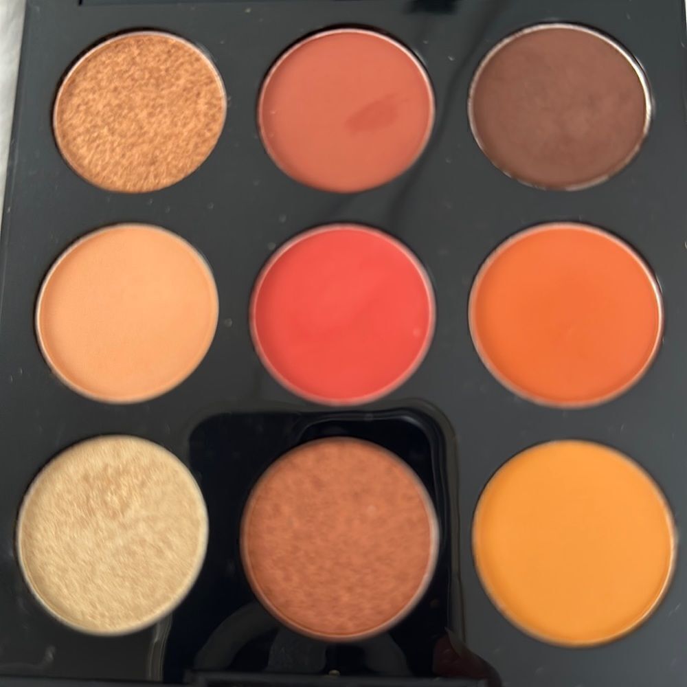 Artistry palette by Morphe “Painted Desert” exquisite colors on neutrals